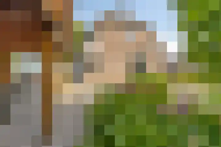 Drentelaan 26 Lage Zwaluwe thumbnail 36