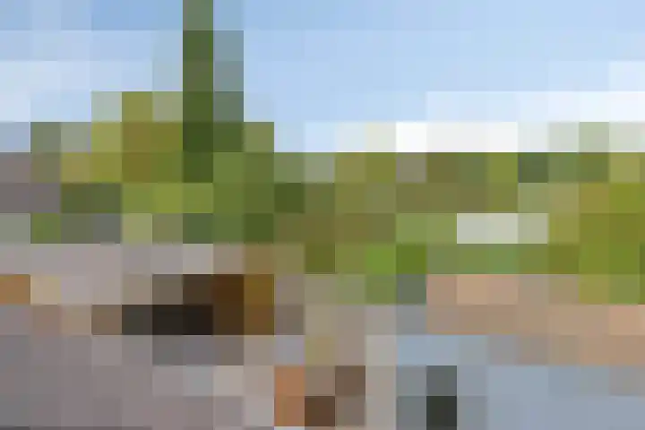 Drentelaan 26 Lage Zwaluwe thumbnail 37