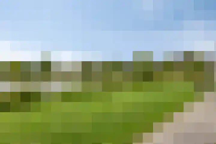Drentelaan 26 Lage Zwaluwe thumbnail 38