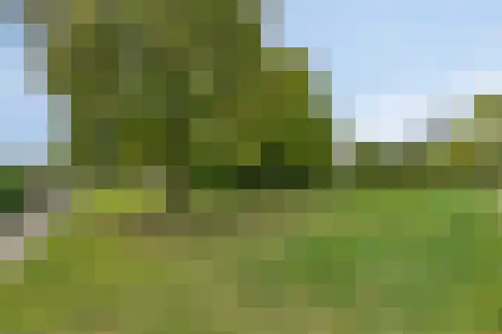 Drentelaan 26 Lage Zwaluwe thumbnail 39