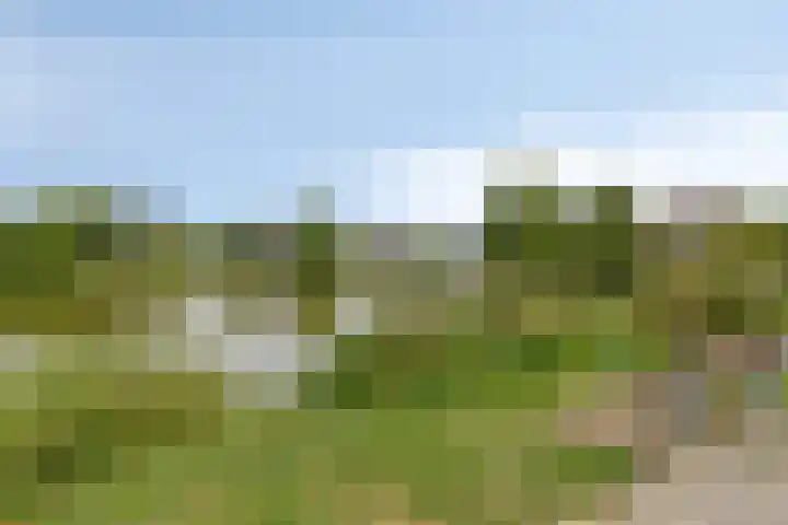 Drentelaan 26 Lage Zwaluwe thumbnail 40