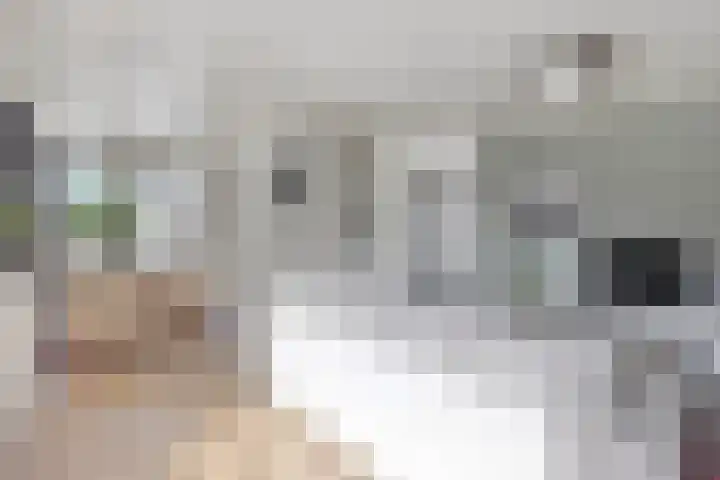 Drentelaan 26 Lage Zwaluwe thumbnail 6