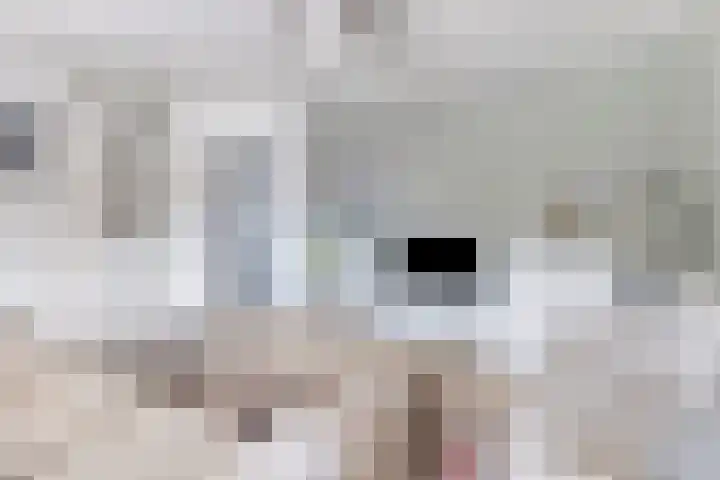 Drentelaan 26 Lage Zwaluwe thumbnail 7