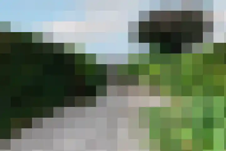 Drentelaan 26 Son en Breugel thumbnail 17