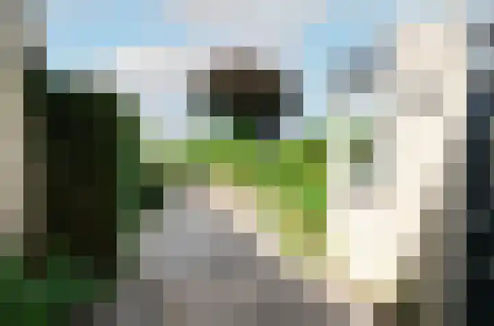 Drentelaan 26 Son en Breugel thumbnail 18