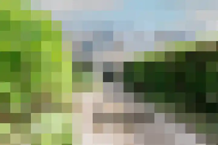Drentelaan 26 Son en Breugel thumbnail 19