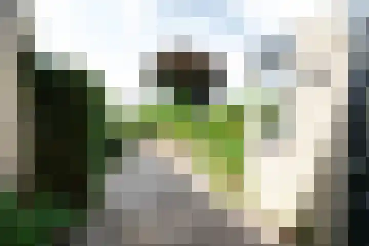 Drentelaan 26 Son en Breugel thumbnail 20