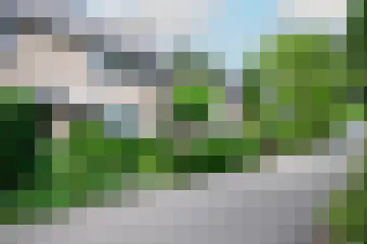 Drentelaan 26 Son en Breugel thumbnail 26