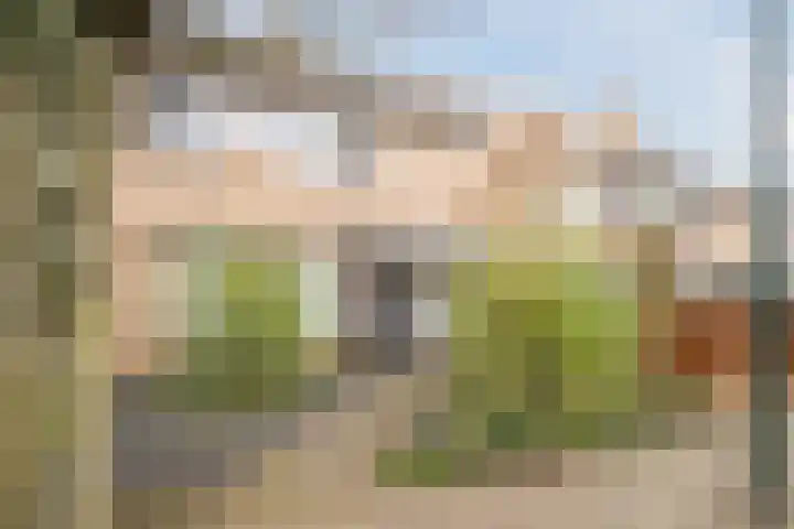 Drentelaan 44 Son en Breugel thumbnail 10