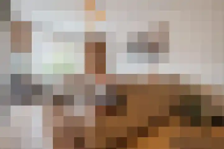 Drentelaan 44 Son en Breugel thumbnail 11