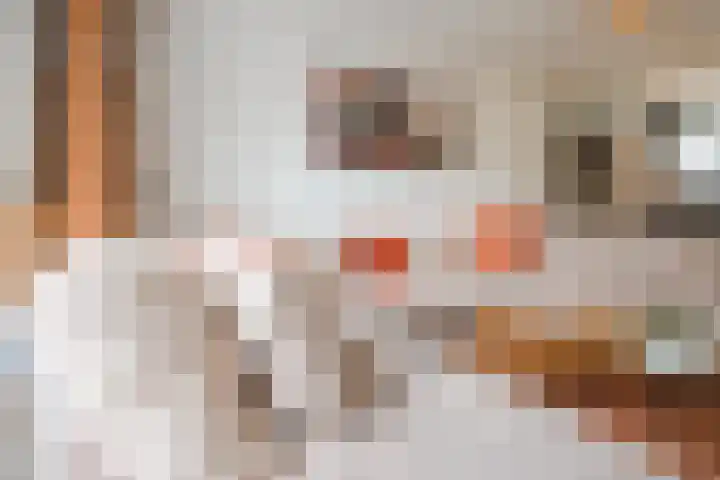 Drentelaan 44 Son en Breugel thumbnail 13