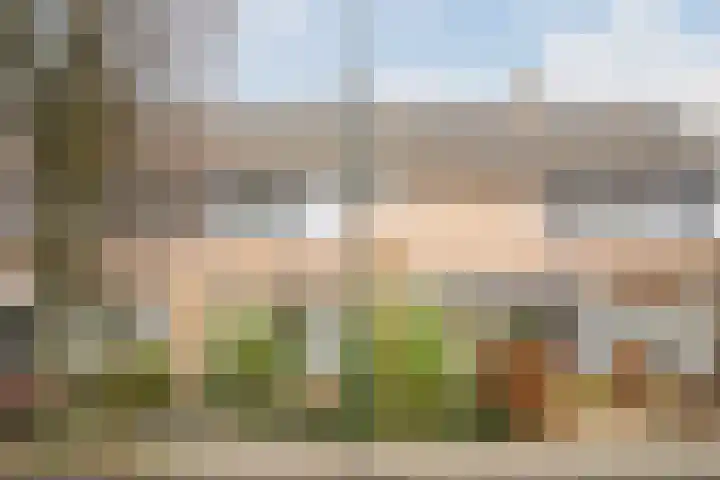 Drentelaan 44 Son en Breugel foto 2