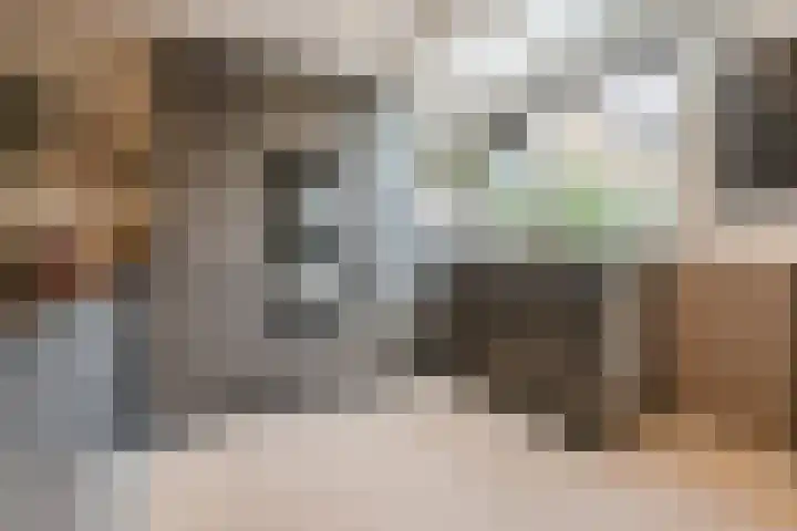 Drentelaan 44 Son en Breugel thumbnail 25