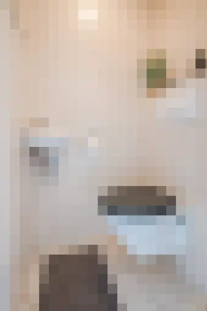 Drentelaan 44 Son en Breugel thumbnail 35