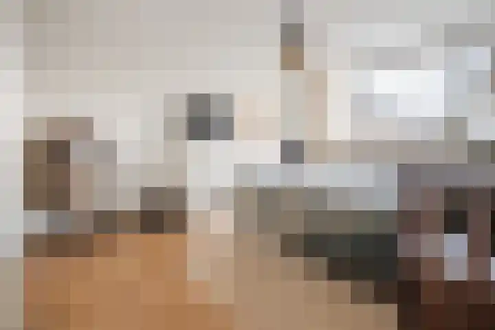 Drentelaan 44 Son en Breugel thumbnail 37