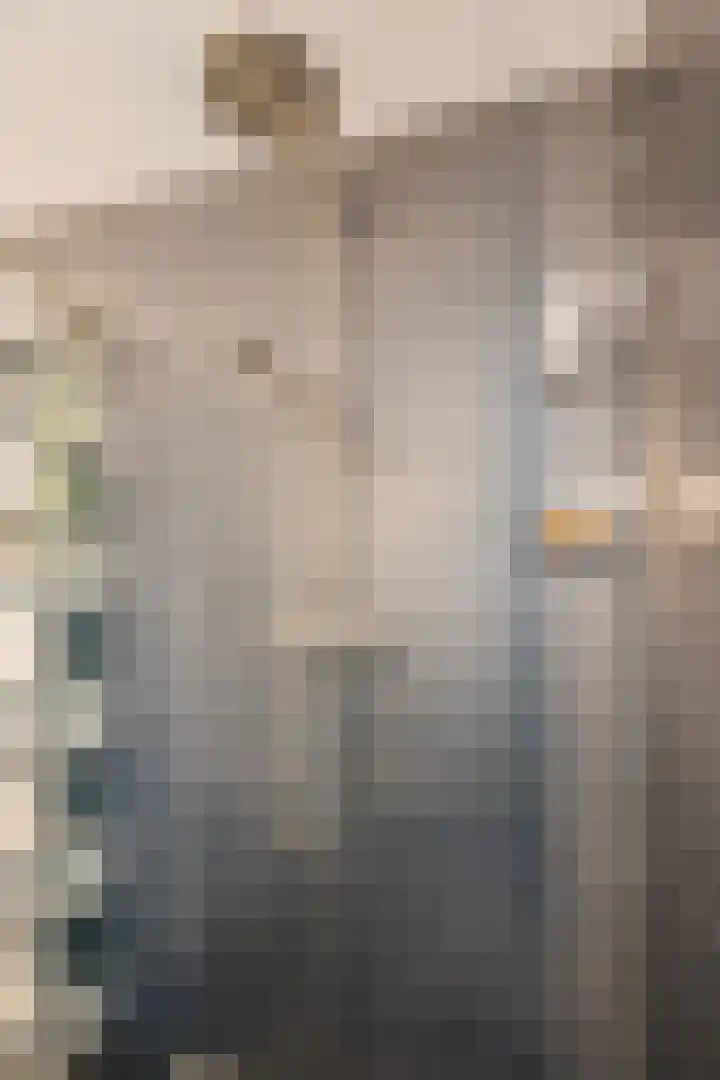 Drentelaan 44 Son en Breugel thumbnail 48