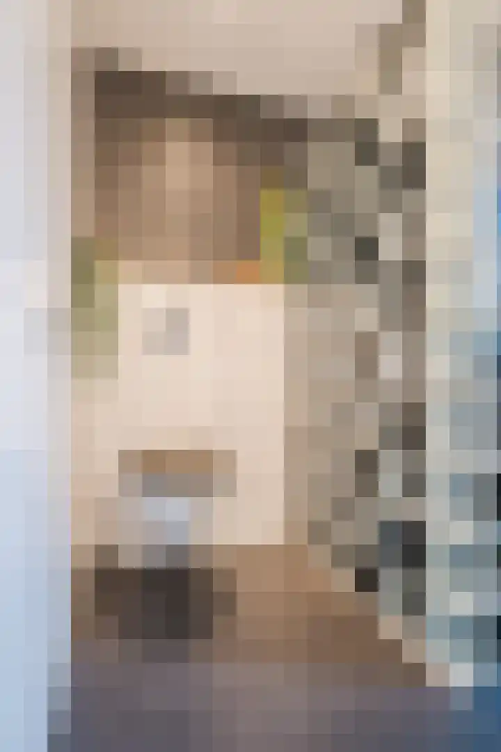 Drentelaan 44 Son en Breugel thumbnail 49