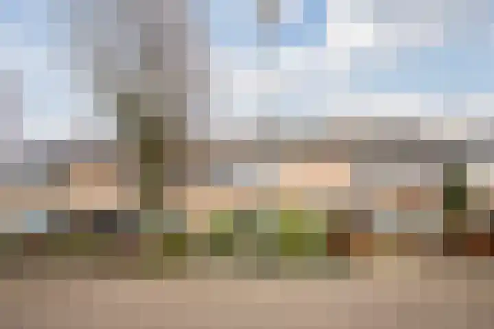 Drentelaan 44 Son en Breugel thumbnail 5