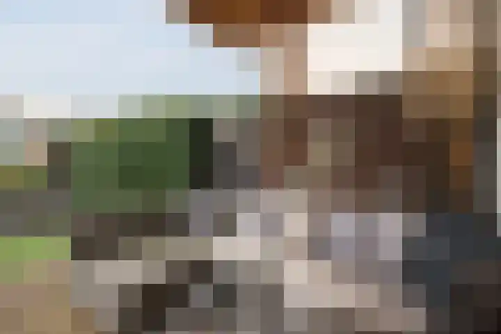 Drentelaan 44 Son en Breugel thumbnail 58
