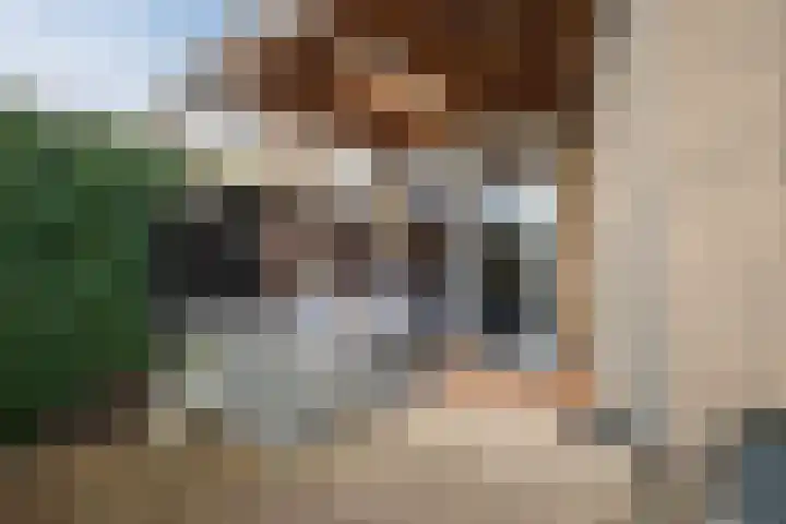 Drentelaan 44 Son en Breugel thumbnail 59
