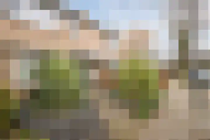 Drentelaan 44 Son en Breugel thumbnail 6