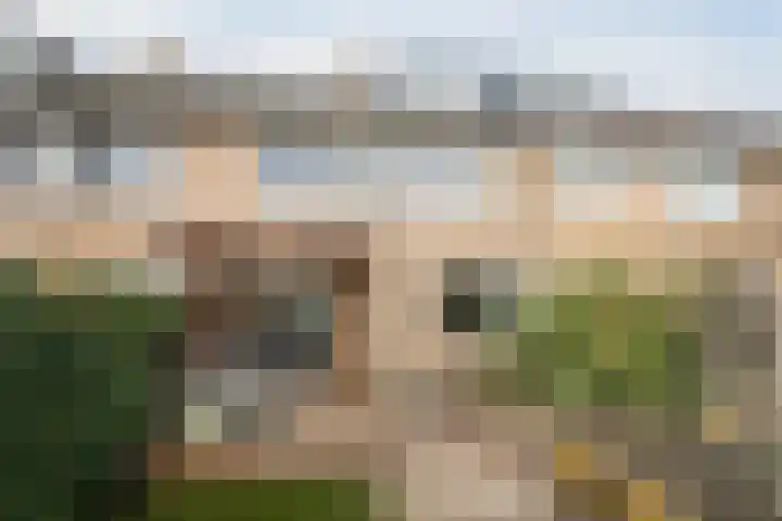 Drentelaan 44 Son en Breugel thumbnail 63