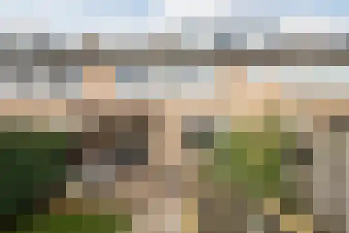 Drentelaan 44 Son en Breugel thumbnail 64