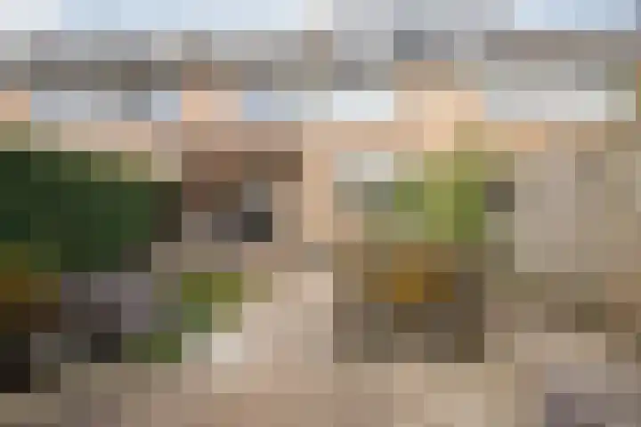 Drentelaan 44 Son en Breugel thumbnail 66
