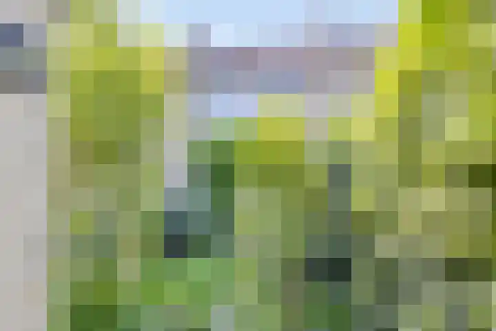 Drentesingel 52 Arnhem thumbnail 33
