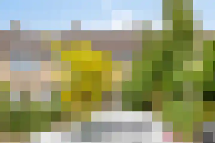 Drentesingel 52 Arnhem thumbnail 6