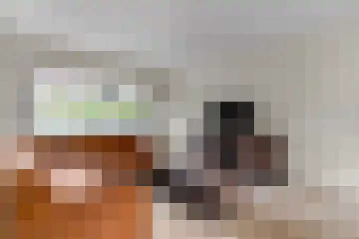 Drentesingel 9 Arnhem thumbnail 11