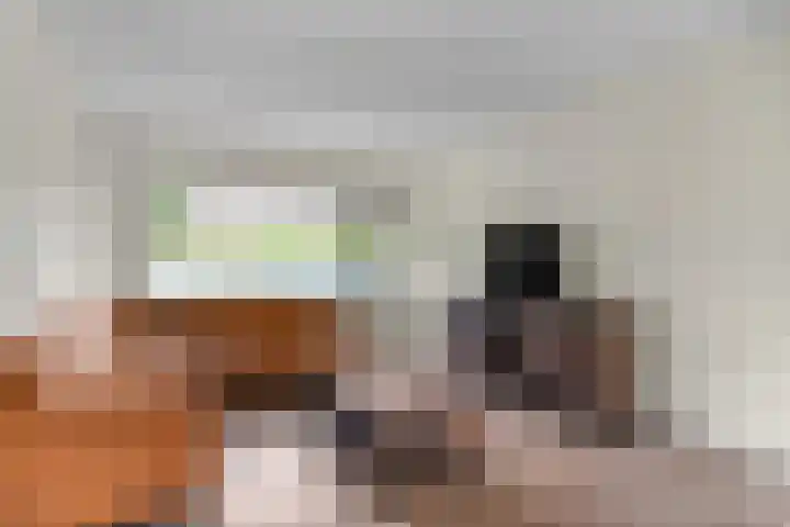 Drentesingel 9 Arnhem thumbnail 12