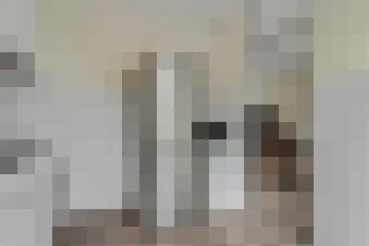 Drentesingel 9 Arnhem thumbnail 16