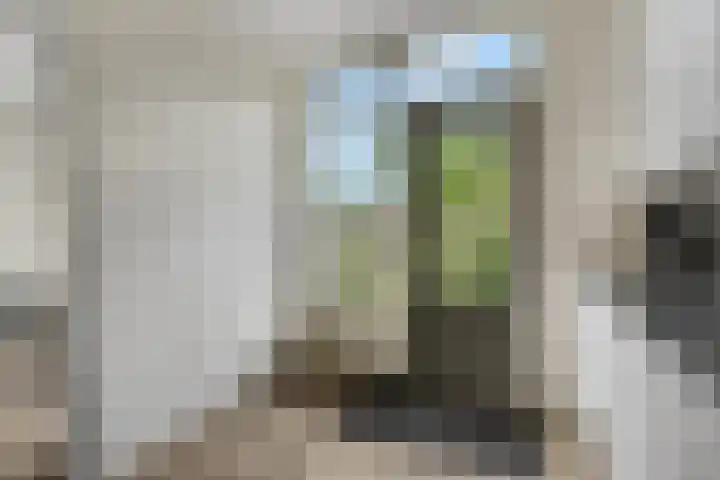 Drentesingel 9 Arnhem thumbnail 17