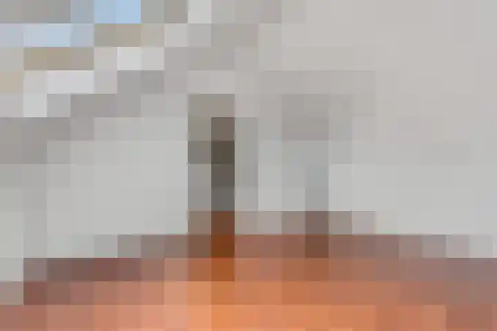 Drentesingel 9 Arnhem thumbnail 31