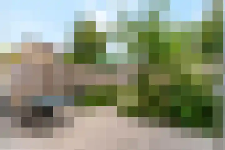 Drentesingel 9 Arnhem thumbnail 32