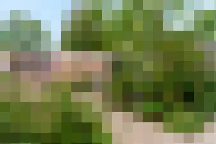 Drentesingel 9 Arnhem thumbnail 34