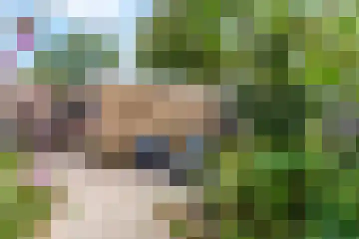 Drentesingel 9 Arnhem thumbnail 35
