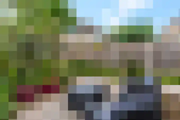Drentesingel 9 Arnhem thumbnail 37