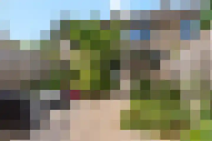 Drentesingel 9 Arnhem thumbnail 38