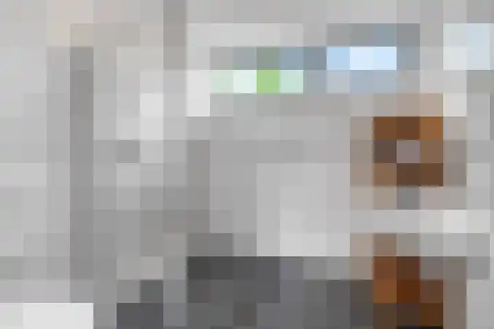 Drentesingel 9 Arnhem thumbnail 4