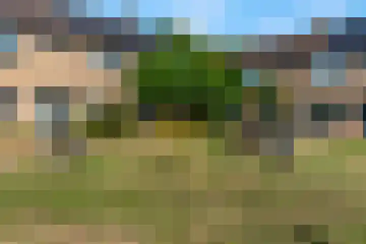 Drentesingel 9 Arnhem thumbnail 41