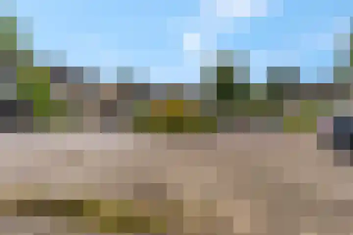 Drentesingel 9 Arnhem thumbnail 42
