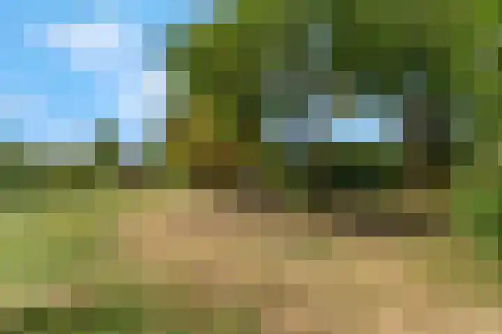 Drentesingel 9 Arnhem thumbnail 43