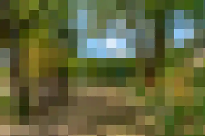 Drentesingel 9 Arnhem thumbnail 44