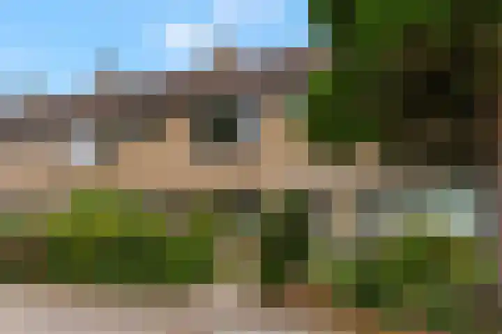 Drentesingel 9 Arnhem thumbnail 6
