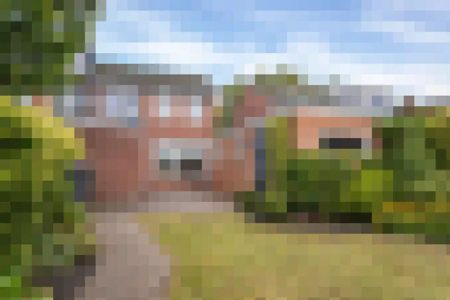 Drentestraat 13 Enschede thumbnail 32