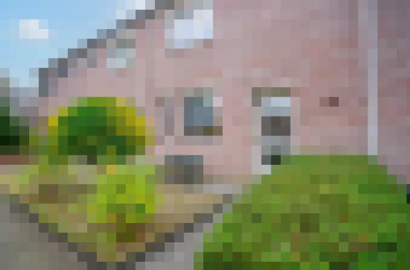 Drenthehof 10 Helmond thumbnail 6