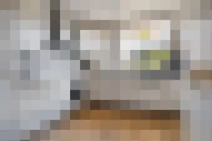 Drenthehof 121 Helmond thumbnail 4
