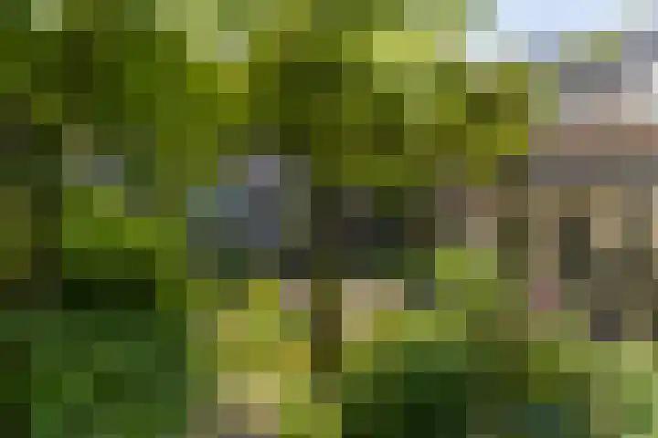 Drenthehof 26 Helmond thumbnail 37